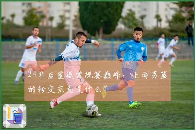 24年后重返常规赛巅峰,上海男篮的转变究竟是什么?